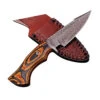 Fearing Dark Damascus Steel Fire Glow Pakkawood Handle Fixed Blade Hunting Knife Fire Glow Pakkawood Handle -Knife Sales Store DHK2268 55076.1595338080