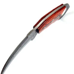 Wild Fixation Fixed Blade Damascus Karambit Knife | Hunt For Life -Knife Sales Store DHK2678 34295.1645627919