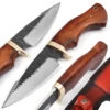 Bear Claw Fixed Blade Outdoor Hunting Knife -Knife Sales Store HKP2368 14497.1620076722