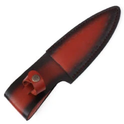 Bear Claw Fixed Blade Outdoor Hunting Knife -Knife Sales Store HKP2368 01832.1620076716