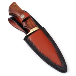 Bear Claw Fixed Blade Outdoor Hunting Knife -Knife Sales Store HKP2368 71089.1620076716