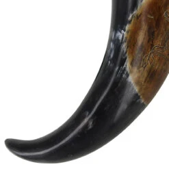 Burnt Roe Deer Saxon Sacred Drinking Horn -Knife Sales Store IN4237 80588.1682000488