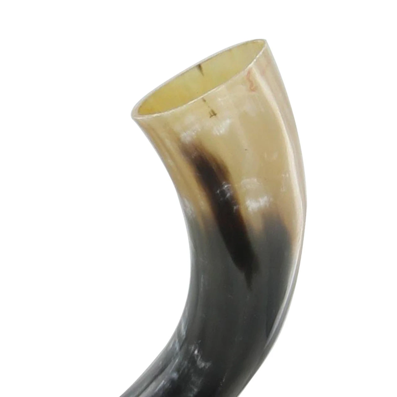 Medieval All Natural Norse Saga Drinking Horn 5 Medieval All Natural Norse Saga Drinking Horn - Image 3